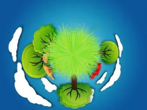 'Gestiamo' la nostra Terra