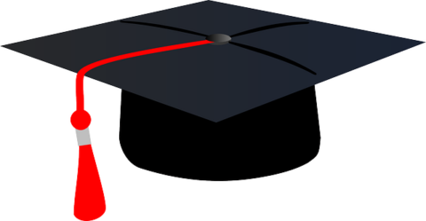 Progetto CUIS Studenti Università